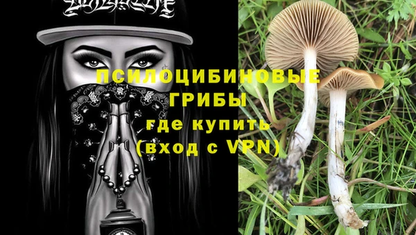 стаф Баксан