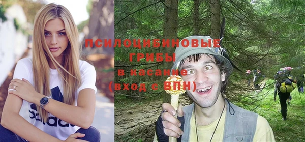 бошки Слюдянка