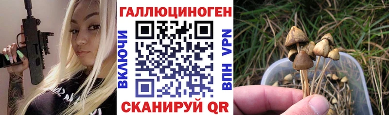 Псилоцибиновые грибы GOLDEN TEACHER  Купить где  Вуктыл 